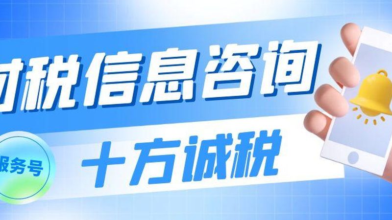 以一家高新技术中小企业为例，其代理记账服务方案如下：